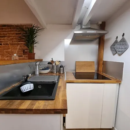Apartamento La Maison De Maila Toulouse