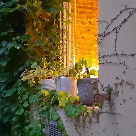 Apartment La Maison De Maila Toulouse
