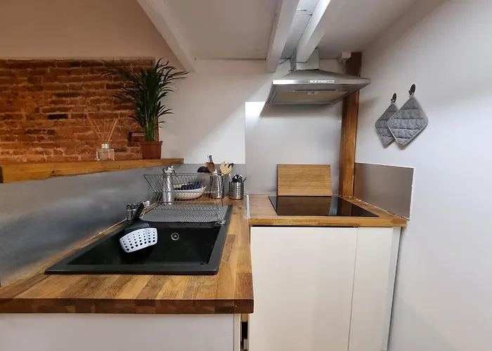 Apartament La Maison De Maila Tuluza